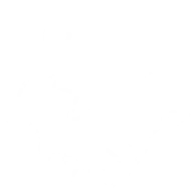 Working together Co-managed IT